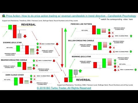 Binary Option Candlestick Cheat Sheetwww Guidehunting