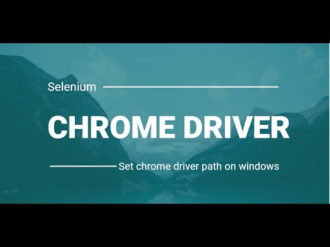 install chromedriver windows 11